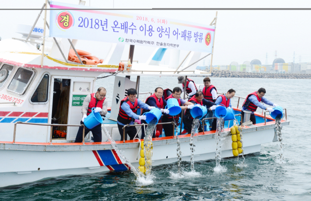 한국수력원자력 한울원자력본부가 원전 온배수를 활용한 양식 어패류를 울진 앞바다에 방류하고 있다. 한수원 제공