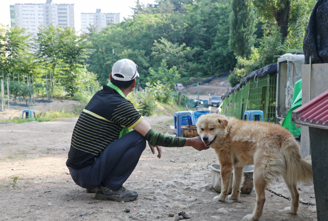 대구 북구 사수동 아파트단지 주민들은 인근 농장에서 키우는 개가 짖는 소음 탓에 피해가 크다며 민원을 제기하고 있다. 농장 주인은 