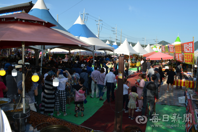 경산자인단오제가 열린 경산 자인면 계정숲 주변 공터에서 외지의 노점상들이 불법 영업을 하고 있다. 김진만 기자