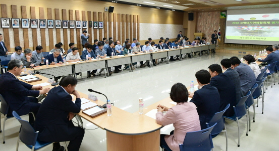 고령군은 19일 군청 대가야홀에서 2018 대가야체험축제 평가 보고회를 열었다. 고령군 제공