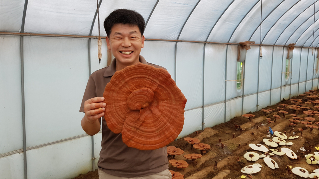 칠곡군 기산면 엄지영지버섯이야기의 오순기 대표가 자신의 농장에서 영지버섯을 들고 활짝 웃고 있다. 오순기 씨 제공