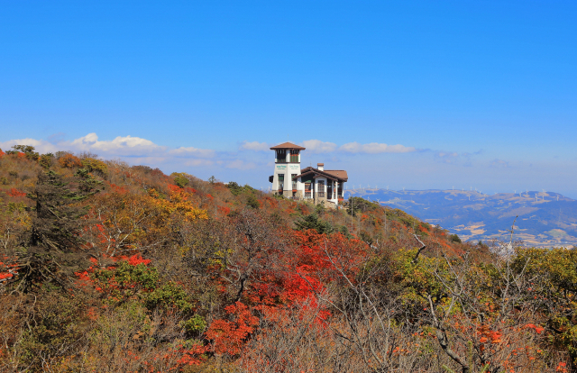 2일 강원 평창군 발왕산 정상(해발 1천459ｍ) 일원이 울긋불긋 고운 단풍으로 물든 모습이다. 연합뉴스