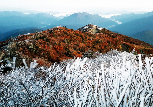 12일 국립공원 덕유산 정상인 향적봉 일대에 올가을 들어 첫 상고대가 맺혔다. 이날 새벽 수은주가 영하 4도로 떨어지면서 붉게 물든 단풍위에 상고대가 내려 성큼 겨울이 다가옴을 알리고 있다. 덕유산 상고대는 매년 10월말께 관측되고 있는데 올해는 20여일 빠르다. 연합뉴스