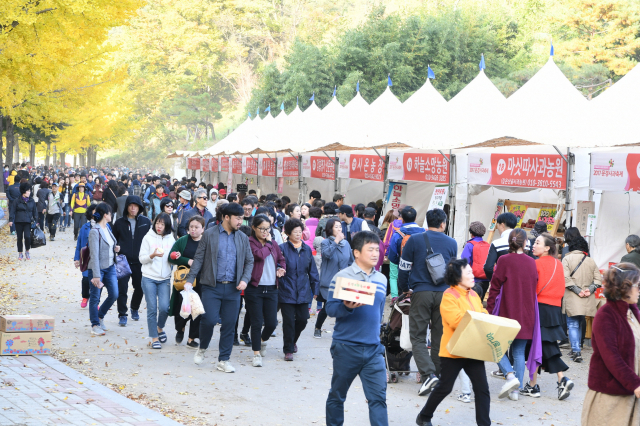 많은 인파로 들썩이고 있는 문경새재도립공원 내 문경사과축제 현장. 문경시 제공