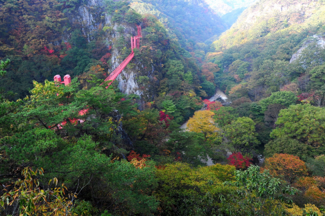 순창 강천산 현수교.