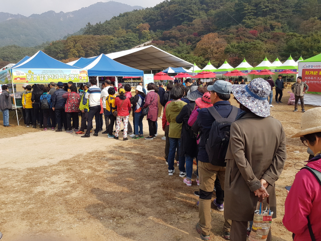 지난 17일 문경새재 1관문앞에서 열린 문경감홍사과 선착순 나눠주기 행사에서 관광객들이 100m 이상 줄을 서 기다리고 있다. 고도현 기자