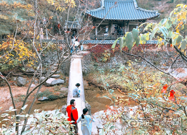 사진은 드라마 미스터션사인에서 유진과 애신이 사랑을 약속했던 만휴정. 안동시 제공