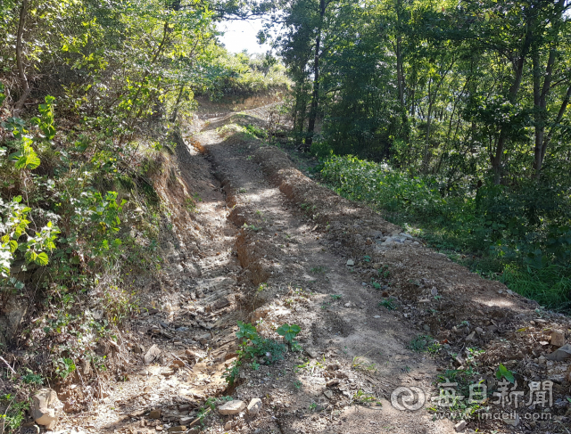 고령군 운수면 팔산리 산 64번지에 있는 임도. 오른쪽 둑처럼 보이는 것이 산림복구를 한 부분이다. 복토를 위해 바닥을 판 배수로는 넓고 깊게 패고, 복토한 흙이 길을 덮어 농기계나 차량 통행이 불가능하게 됐다. 이영욱 기자