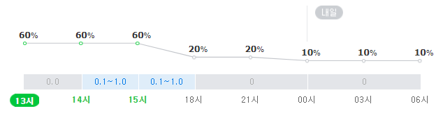 대구날씨 29일 강수확률. 네이버 날씨