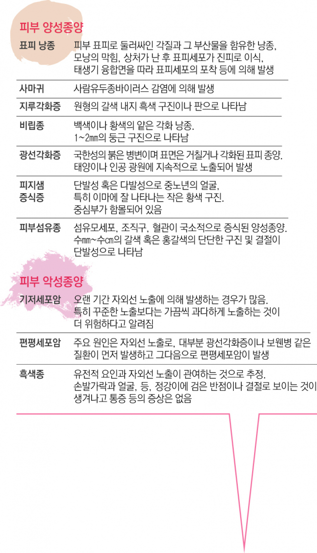 김성은 대구가톨릭대병원 성형외과 교수