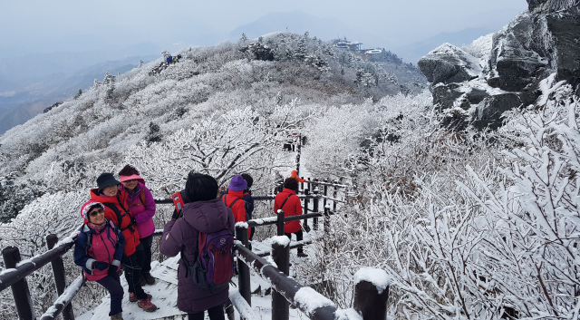 덕유산 등산로 주변에 상고대가 피어 겨울산행을 즐기는 등산객들이 추억을 담고 있다.