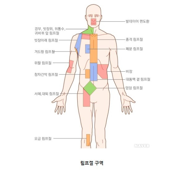 12일 방송인 허지웅이 악성림프종으로 투병 중이라는 소식이 전해지면서 안타까움을 자아냈다. 네이버 의료정보 캡처