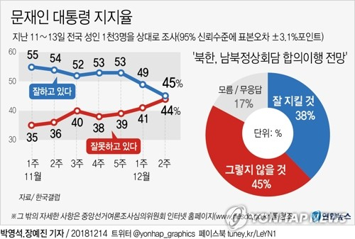 문재인 대통령의 국정지지도가 40%대 중반으로 떨어져 취임 후 최저를 기록했다는 여론조사 결과가 14일 나왔다. 한국갤럽이 지난 11∼13일 전국 성인 1천3명을 상대로 조사한 결과 문 대통령 직무 수행에 대한 긍정평가는 지난주보다 4%포인트 하락한 45%를 기록했다. 연합뉴스 연합뉴스