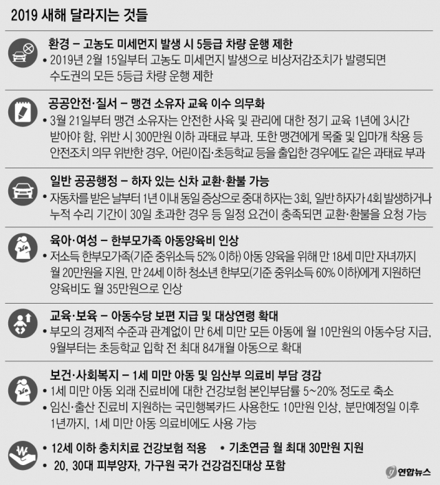 2019년 기해년 새해를 맞아 대구에서 중학교 전면 무상급식, 저소득층 의료지원, 청년층 대구 정착 유도 등 다양한 정책적 변화가 도입된다. 대구 한 백화점 직원이 돼지띠 달력을 그린 접시를 소개하고 있다. 매일신문 DB