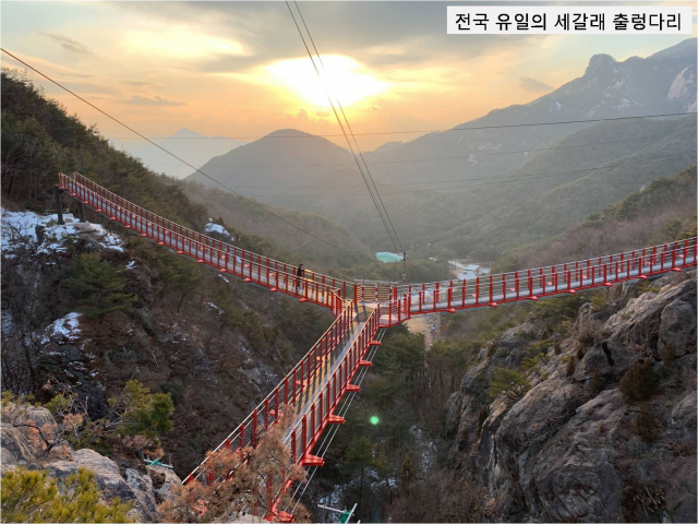 거창군이 조성 중인 전국 유일의 세갈래 출렁다리 조감도. 거창군 제공