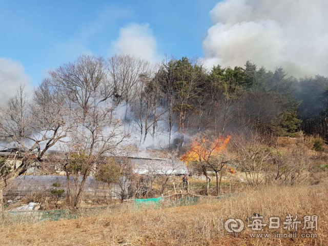 18일 울진군 근남면의 한 야산에서 불이나 소나무 등 250그루를 태우는 사고가 발생했다. 신동우 기자