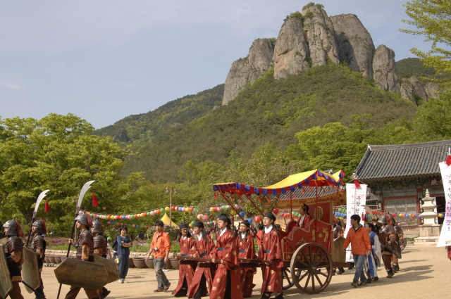 주왕산수달래축제. 매일신문DB