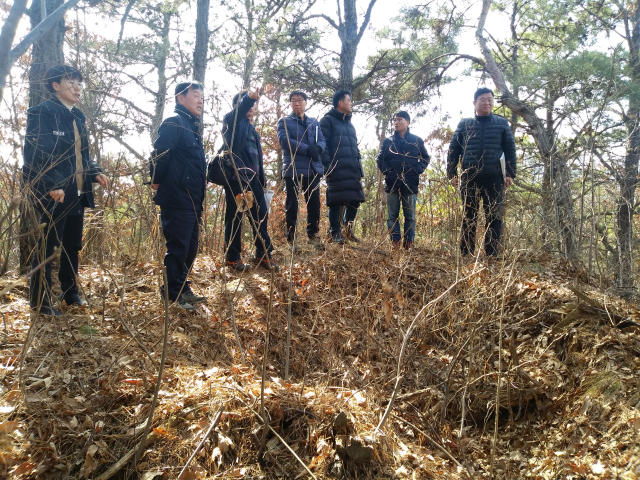 문화재청 관계자와 거창군청 공무원들이 가조면 석강리 고분현장을 답사해 확인하고 있다