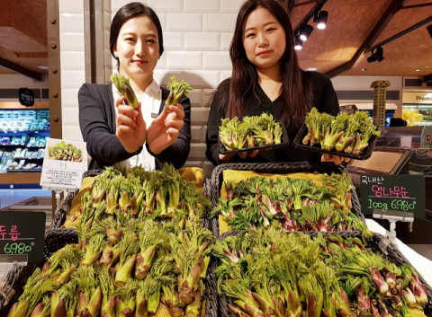 롯데백화점 대구점 지하2층 식품관에서는 입맛을 돋우고, 몸에 활력을 주는 다양한 봄 나물을 14일까지 판매한다. 참두릅은 쌉쌀한 맛과 향이 특징이며, 비타민 C와 칼슘이 풍부해 혈액 순환과 피로회복에 효과가 있다. 엄나무순은 두릅보다 향이 진하고 살짝 데쳐서 먹거나 장아찌로 담가 먹기 좋다. 롯데백화점 제공