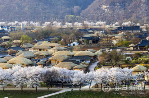 하회마을 전경.