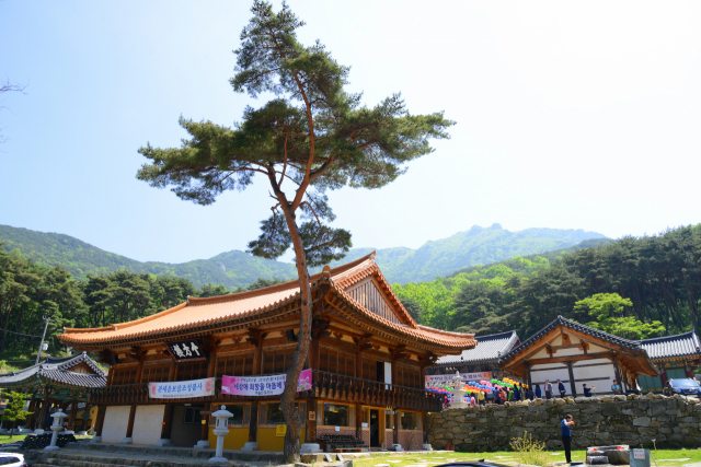 유가사에는 용화전·산령각·천왕각 등이 있다. 바로 인근에 도성국사가 창건한 수도암에는 비구니 수행도량으로 유명하다. 달성군 제공