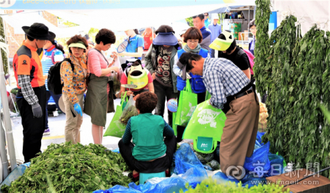 영양산나물축제를 찾은 관광객들이 산나물을 사고 있다. 엄재진 기자