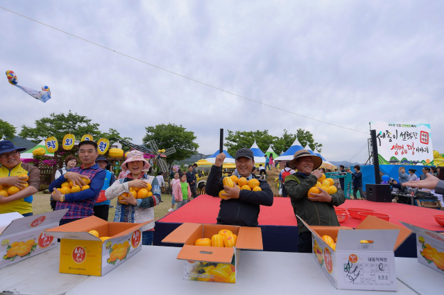 성주축제 참가자들이 성주참외 많이 들기 체험을 하고 있다. 성주군 제공