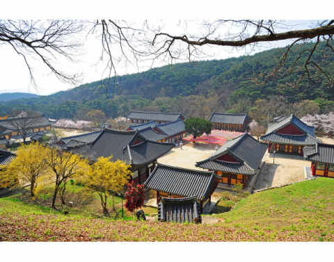 대한불교 조계종 제10교구 본사로 영천의 대표적 사찰인 은해사 전경. 영천시 제공