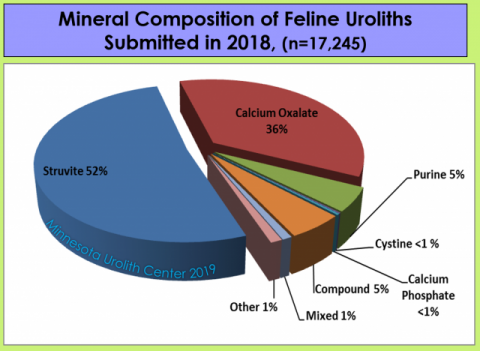 고양이 방광결석의 발생 빈도(스트류바이트 52% 