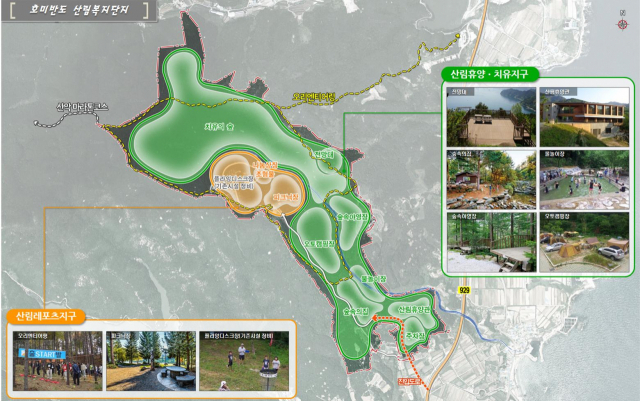 포항 호미반도 산림복지지구 기본구상도. 경북도 제공