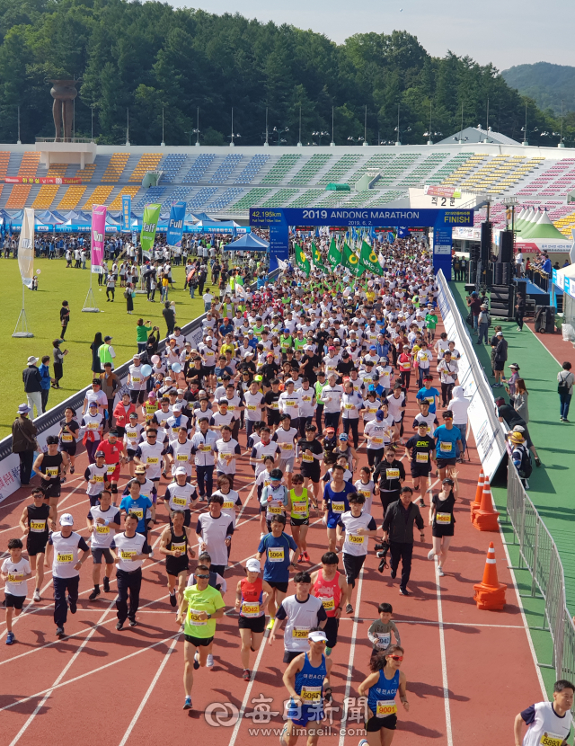 2일 안동시민운동장과 안동시내 일원에서 열린 2019 안동마라톤대회에서 5㎞ 구간에 참석한 선수들이 출발하고 있다. 김영진 기자