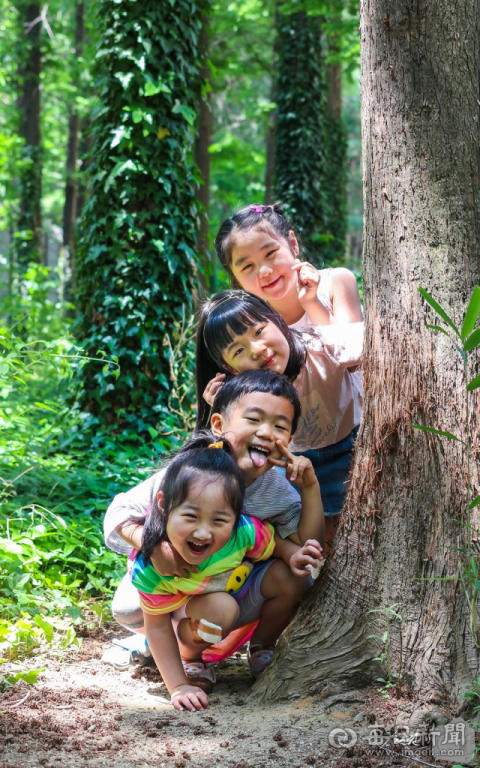 2019 어린이사랑 다자녀가족 사진·UCC 공모전 대상작 숲속의 꼬마요정들(이태경)