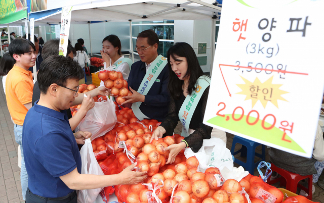 14일 대구 북구 농협 경북본부 앞에서 농협 관계자들이 햇양파 판매를 하고 있다. 경북농협은 전날 경북지역본부, 김천시지부, 구성농협 임직원 40여명이 양파 수확 일손돕기를 실시했다. 이날 판매한 양파는 전날 일손돕기에서 수확한 양파다. 이번 행사는 양파 작황 호조에 따른 생산량 과다로 양파가격이 하락함에 따라 일손 부족으로 어려움을 겪는 농가를 돕고 양파 소비를 촉진하기 위해 마련됐다. 연합뉴스