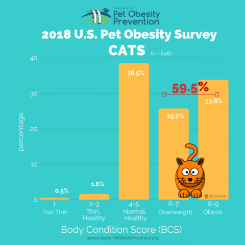 2018년 미국 고양이의 60%가 과체중 또는 비만이다 (자료출처: petobesityprevention.org)