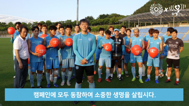 대구FC가 27일 