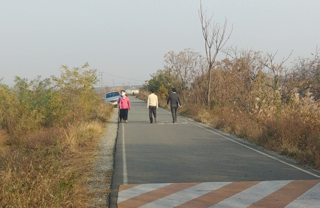 금호강변 산책길 현재 모습. 수성구청 제공.