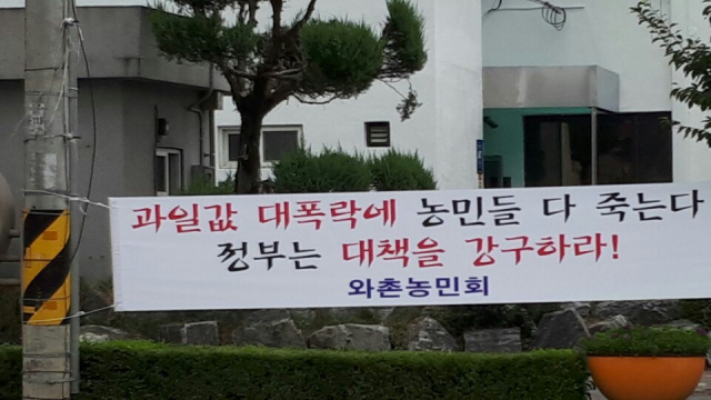 복숭아 자두 등 여름철 대표과일 가격이 폭락하자 경산 와촌면농민회가 농산물 가격 폭락에 따른 정부의 대책을 촉구하는 펼침막을 와촌지역 곳곳에 내걸었다. 와촌농민회 제공