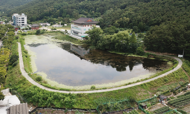 수성구 욱수동 망월지를 지키기 위한 움직임이 일고 있는 가운데, 수성구청이 연구용역에 착수했다. 망월지 전경. 매일신문DB