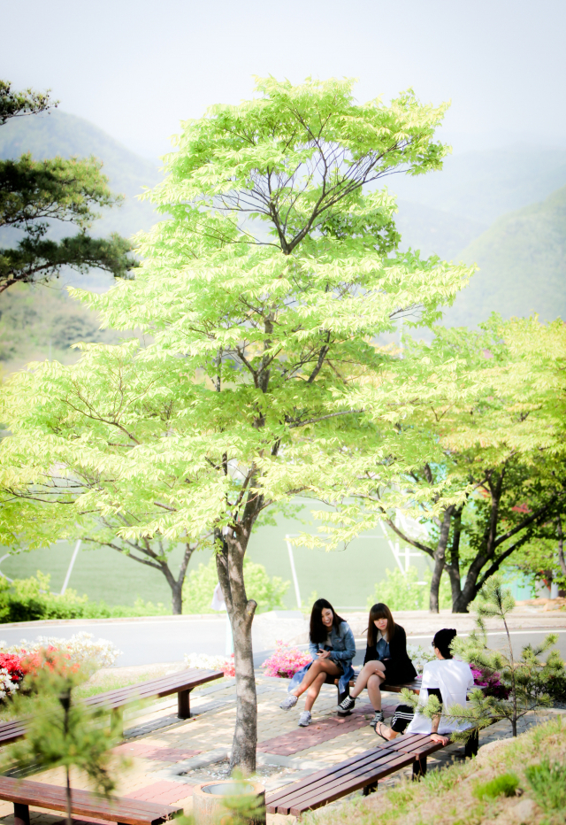 대구예술대학교는 영남 유일의 4년제 예술대학교로 25년 넘게 그 명성을 지켜오고 있다. 대구예술대학교 제공