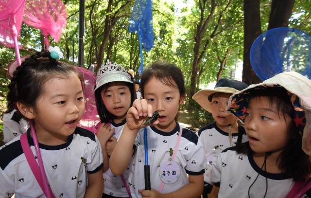 14일 오전 서울 성동구 중랑천 송정 제방 산책로에서 여름방학을 맞은 어린이들이 매미를 관찰하고 있다. 연합뉴스