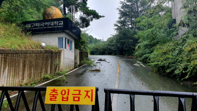 지난해 2월 폐교한 대구외국어대학교 정문 앞에 출입금지 팻말이 붙어있다. 이연정 기자