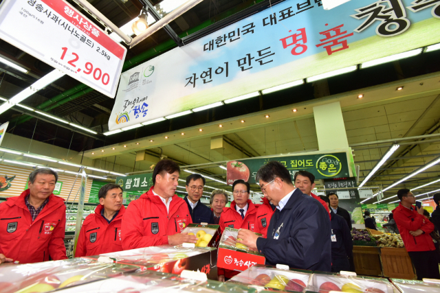 국내 최대 농산물 도소매 매장인 서울 하나로클럽(하나로마트) 양재점에 청송사과가 입점했다. 청송군 제공