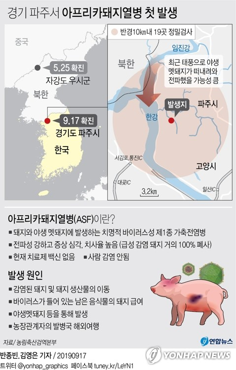 농림축산식품부는 16일 경기도 파주시의 한 양돈농장에서 아프리카돼지열병이 발생했다고 17일 발표했다. 연합뉴스