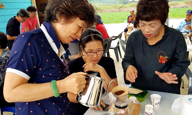 자신이 직접 딴 커피로 로스팅 한 뒤 곱게 갈아 핸드드립 커피를 만들고 있는 관광객들. 청송커피베리 제공