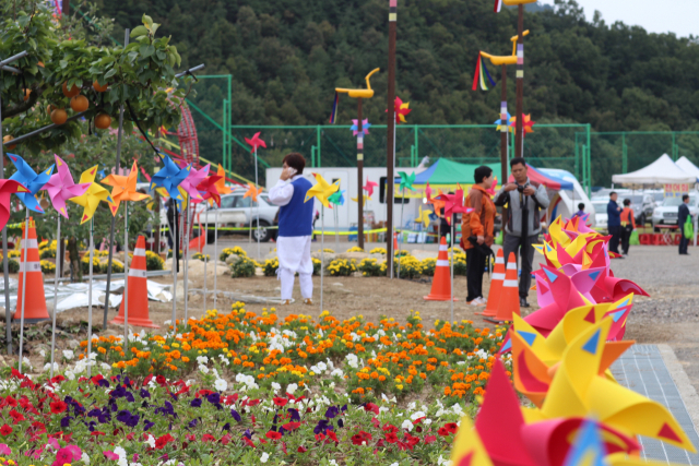 2019 성주가야산 황금들녘 메뚜기잡이 체험축제장 입구. 관광객을 맞을 꽃단장된 화단과 바람개비가 물결을 이루고 있다. 성주군 제공