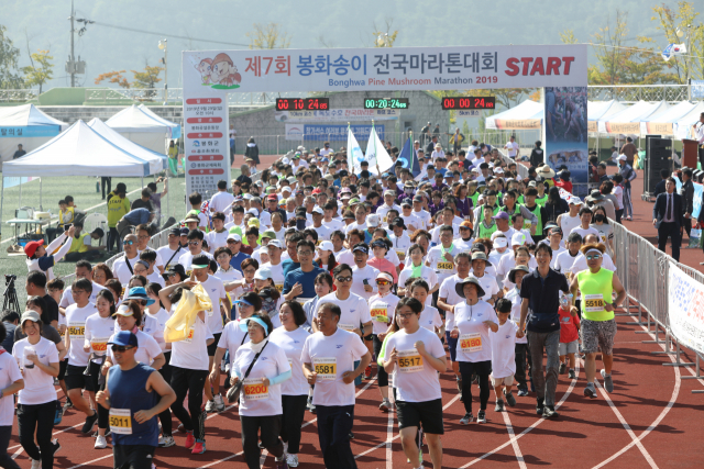 제7회 봉화송이전국마라톤대회 참가자들이 출발 신호에 맞춰 힘차게 달려나가고 있다. 봉화군 제공