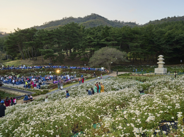 경주 서악마을을 찾은 관광객들이 문화재 주변을 둘려보며 구절초음악회를 관람하고 있다. 신라문화원 제공