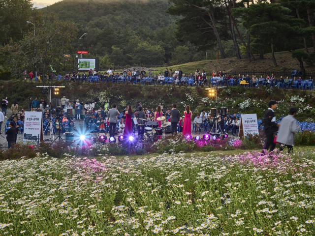 경주 서악마을을 찾은 관광객들이 구절초음악회를 관람하고 있다. 신라문화원 제공