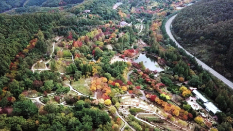 경상북도수목원이 가을 단풍철을 맞아 새단장을 하고 방문객들을 맞고 있다. 경상북도 수목원 제공