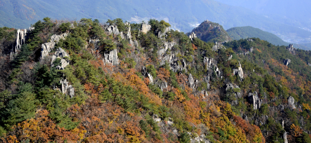 천 개의 불상이 있는 것처럼 보인다는 매화산은 가야산 만물상과 또 다른 분위기로 산행객들을 불러들인다. 이채근 기자 mincho@imaeil.com